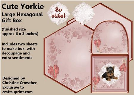 Cute Yorkie Large Hexagonal Gift Box Mini Kit
