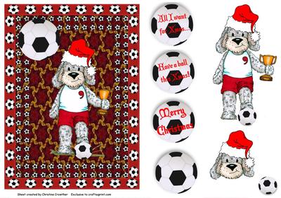 Football Crazy Christmas Bear
