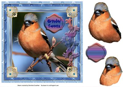 Chaffinch Birthday Tweets