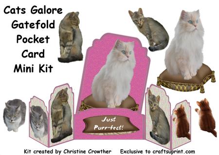 Cats Galore Gatefold Pocket Card Mini Kit