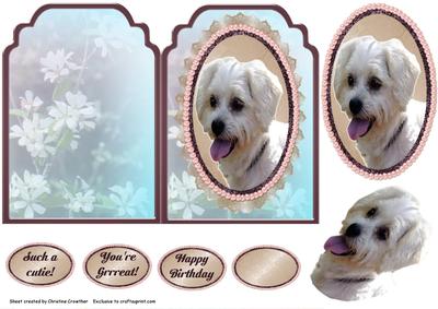 Such a Cutie! for Birthday or Any Occasion