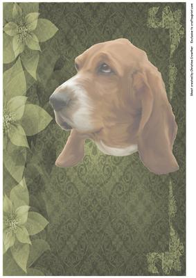 Basset on Floral Damask Background
