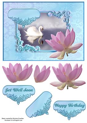 Swan and Waterlily Any Occasion Card