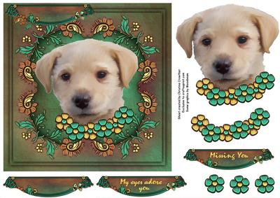 My Eyes Adore You - Missing You - Golden Labrador Puppy