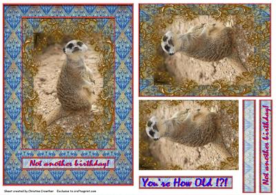 Meerkat Not Another Birthday! Pyramid
