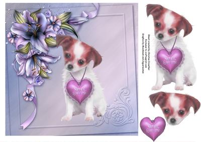 Never Leave Me Chihuahua