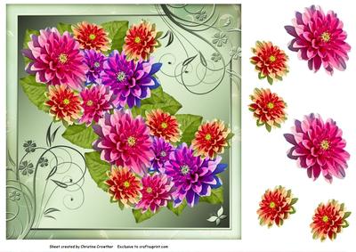 Dahlia Delight for Any Occasion