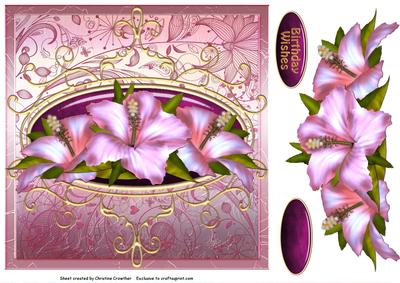 Pink Hibiscus Birthday Wishes