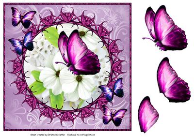 Pink Butterfly Framed White Flowers