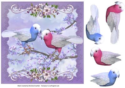 Pretty Blue and Pink Lovebirds on Lilac Background