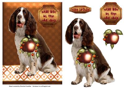 Still Life in the Old Dog - Spaniel