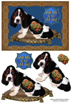 Still Life in the Old Dog - Basset Hound