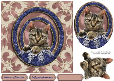 You're Purrfect Framed Tabby Cat