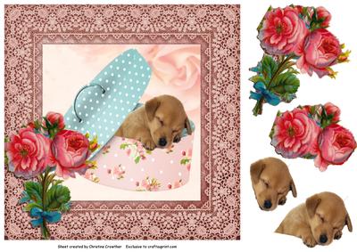Puppy in Shabby Chic Box for Any Occasion