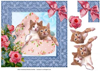 Kittens in Shabby Chic Box for Any Occasion