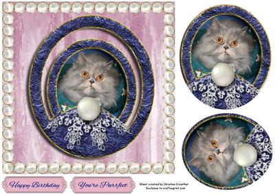 You're Purrfect Framed Persian Cat with Pearls