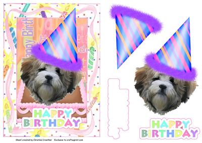 Shichon Birthday