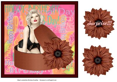 Birthday Surprise Pinup