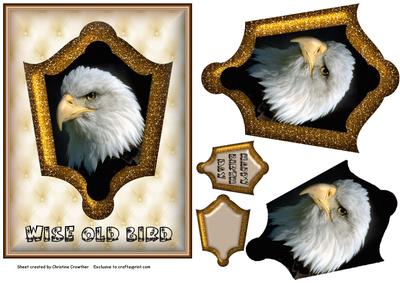Wise Old Bird - Gold - Fancy Shaped Pyramid