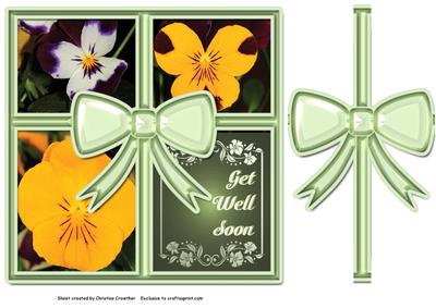 Real Pansies All Wrapped Up Get Well Soon