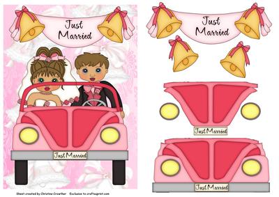 Just Married - Cute Bride & Groom in Car
