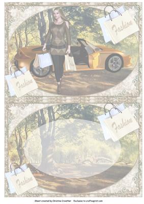 Been Shopping in My Car - Born to Shop Insert