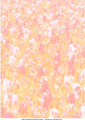 Abstract Field of Flowers Backing Paper - Peach