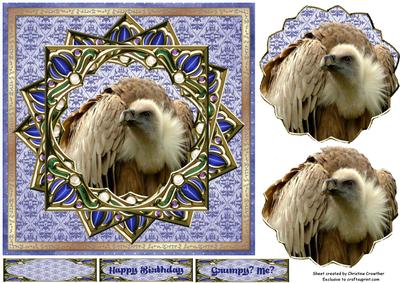 Grumpy? Me? Eight Point Star Framed Vulture
