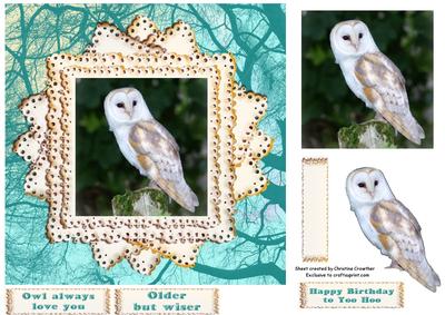 Older But Wiser - Eight Point Star Framed Barn Owl