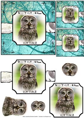 Great Owl Don't Get Old Get Wise - Torn Strip Square