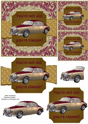 You're Not Old You're Classic! Jaguar - Torn Strip Square