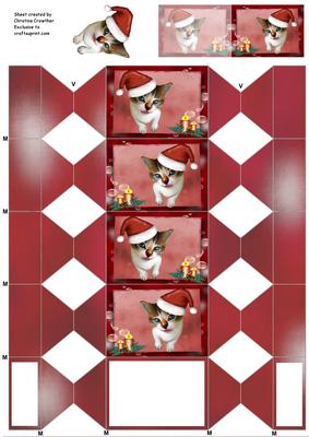 Sweet Christmas Kitty Cat Cracker Box with Gift Tag