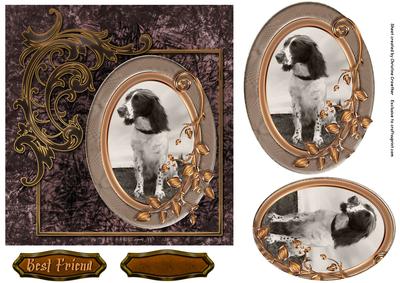 Best Friend Gun Dog Spaniel on Grunge Background