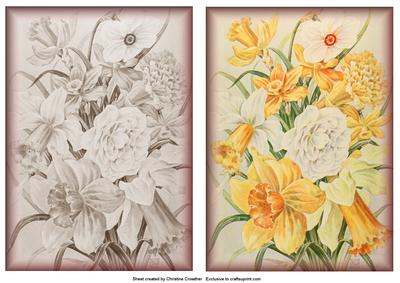Two Vintage Daffodil and Narcissus Backgrounds