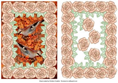 Large Pearly Rose Framed Pair of Jays
