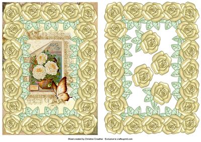 Large Pearly Rose Framed Roses Seed Packet