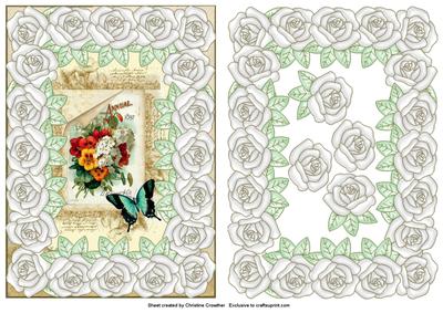 Large Pearly Rose Framed Mixed Flowers Seed Packet