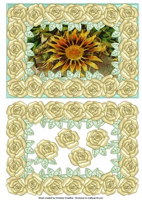 Large Pearly Rose Framed Sunflower
