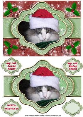 My Cat Loves/hates Xmas - Ribbon Sash Quick Card