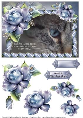 Cat Psalm - the Lord's Doing - Purrfect Day