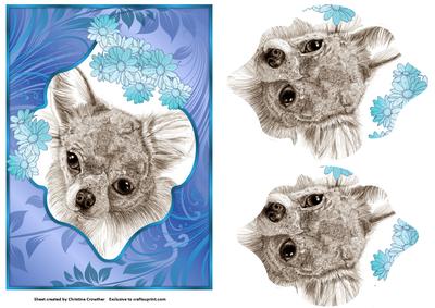 Little Chihuahua in Blue Frame