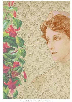 Vintage Duchess with Fuschia Edge Background