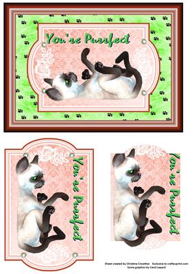 You're Purrfect Green Eyed Siamese Cat