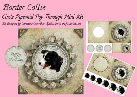 Border Collie Circle Pyramid Pop Through Mini Kit