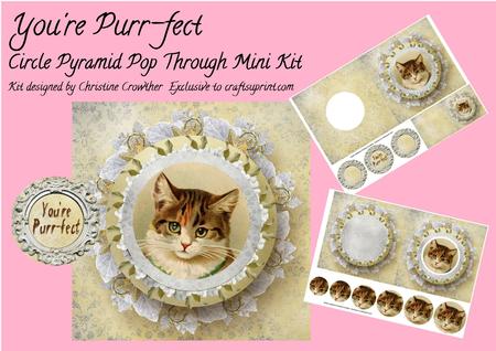 You're Purr-fect Circle Pyramid Pop Through Mini Kit