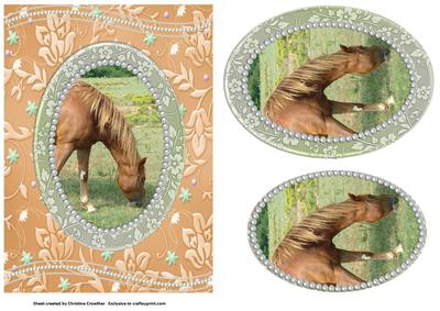 Just Grazing - Pretty Horse - Easy Pyramid