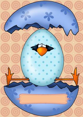 Yippee Chick Baby Boy