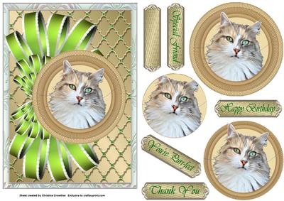 Pretty Puss Bow and Circle Pyramid Card