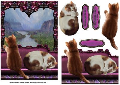 On My Window Seat - Two Ginger Cats
