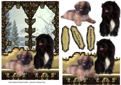 On My Window Seat - Two Pekinese